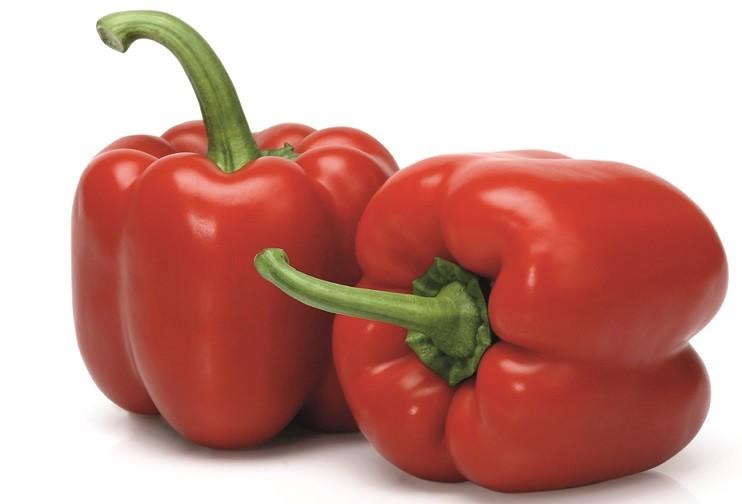Clavesol RZ y Sinfony RZ, los California rojo y amarillo de gran postcosecha, alta productividad y excelente color durante todo el ciclo