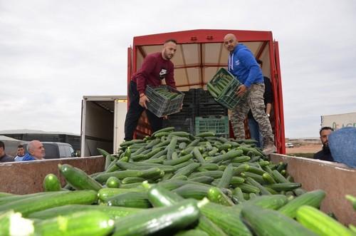 El Ministerio de Agricultura confirma su participación en una reunión en Almería para abordar la crisis de precios del pepino largo