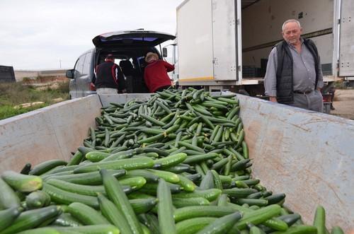 La directora general de Producciones y Mercados Agrarios aborda hoy con el sector la situación del mercado de pepino