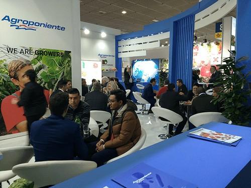 Grupo Agroponiente volverá a estar presente en Fruit Logística 2019, con un espacio operativo de 65 metros
