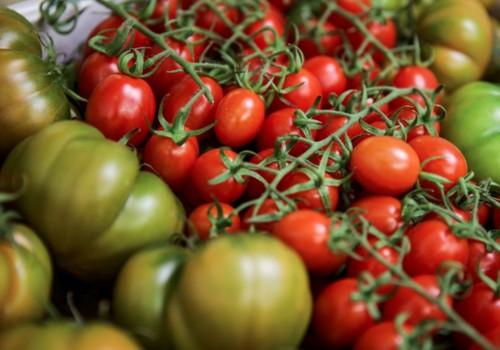 FRUIT LOGISTICA presenta la diversidad saludable en la Ruta de conveniencia y de productos orgánicos