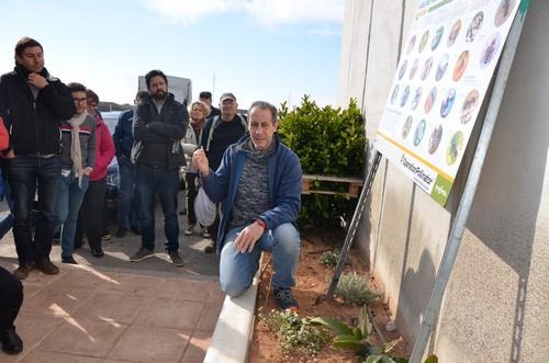 Syngenta aboga por favorecer las poblaciones de polinizadores con la creación de hábitats específicos