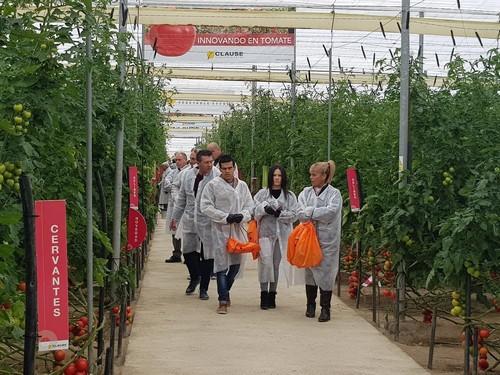 Delibes y Harrison se suman al amplio catálogo de tomate de HM.CLAUSE