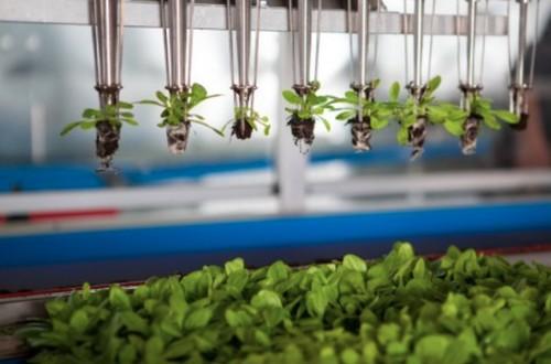 Disrupt Agriculture es el lema del primer Start-up Day de Fruit Logistica