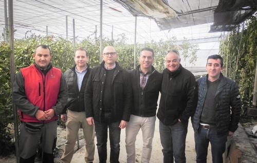 La plantación de ‘setos verdes’ en los invernaderos provocan una mejora agronómica en los cultivos y un entorno más limpio