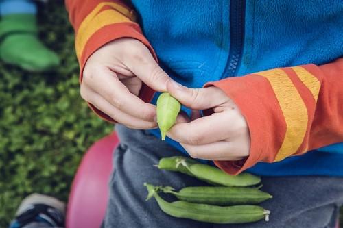La incidencia de las frutas y hortalizas en una alimentación sana, tema a debate en la apertura de las Jornadas de Consumomar