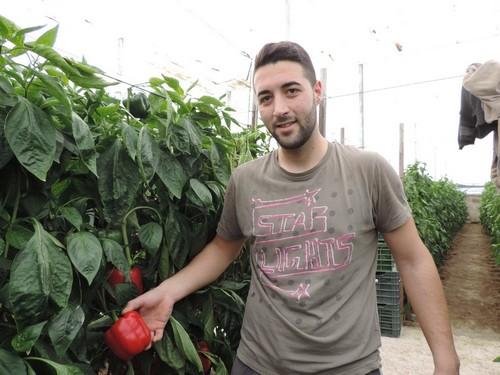 El campo español necesitará incorporar 20.000 nuevos agricultores cada año para garantizar un relevo generacional sostenible