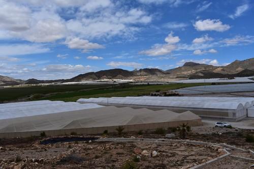El IMIDA investigará sobre eficacia en el uso de agua en cultivos y sostenibilidad en la utilización de plásticos en horticultura