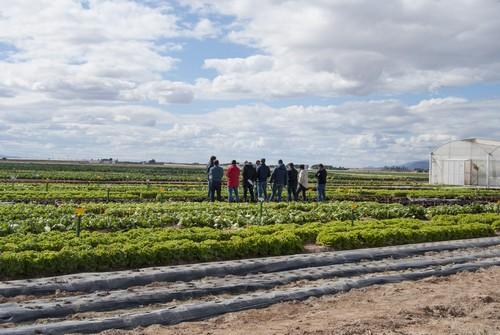 Bejo celebra sus puertas abiertas de lechuga y brassicas el 13 de febrero