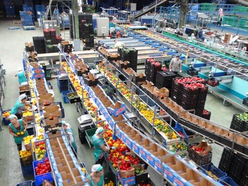 Agroiris resuelve la demanda del consumidor europeo con una nueva línea de productos ‘residuo cero’