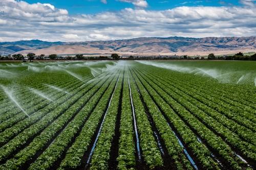 SPRING, el programa sostenible de riego y uso de agua subterránea