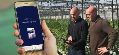 La nueva APP de ICL permite al agricultor calcular la cantidad necesaria de Nova PeKacid