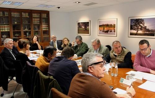 La Consejería de Agricultura diseñará junto al sector un plan global para lograr una mayor estabilidad de los cítricos