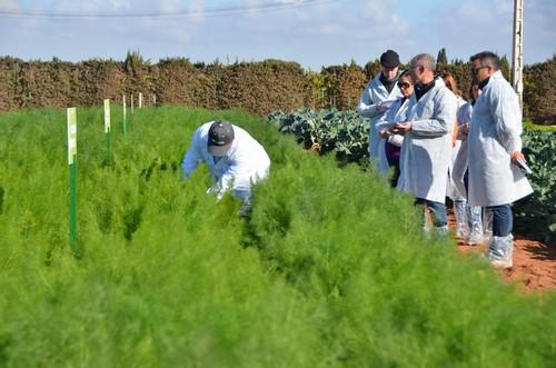 HM.Clause continúa hasta el jueves con su primer Winter Open Field Days