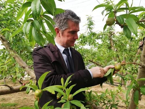 La Región de Murcia cuenta con la mayor superficie ecológica cultivada de la Unión Europea en proporción a su territorio