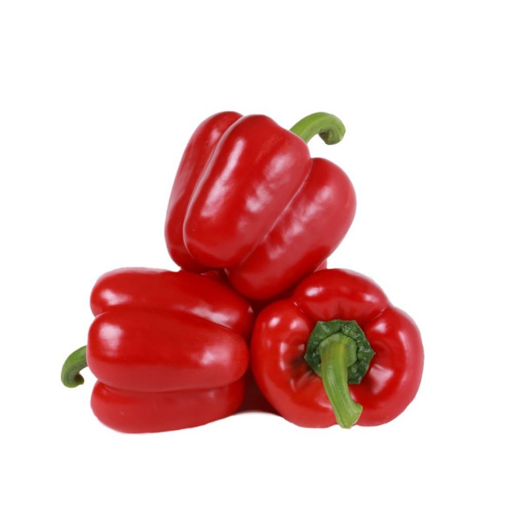 Meridiem Seeds incrementa su catálogo de pimiento con novedades en California, lamuyo e italiano