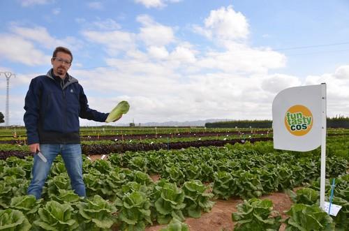 Rijk Zwaan continúa revolucionando el mercado de la lechuga con sus conceptos atractivos y sabrosos Fun Tasty Cos y Snack Lettuce®