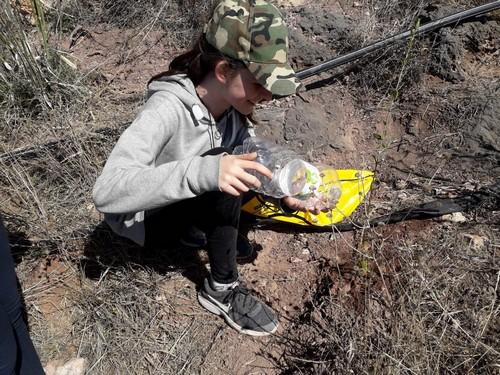 Vicasol colabora en la reforestación de la Sierra de Gádor para retener más agua en los acuíferos y evitar catástrofes