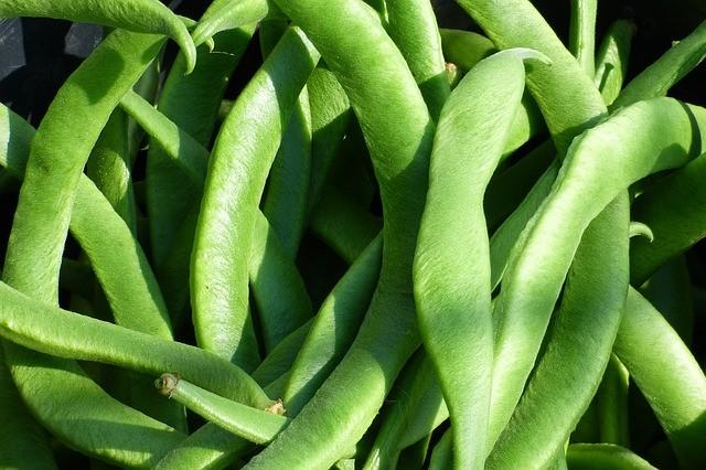 La judía y el pepino protagonizan los crecimientos de cotización esta semana