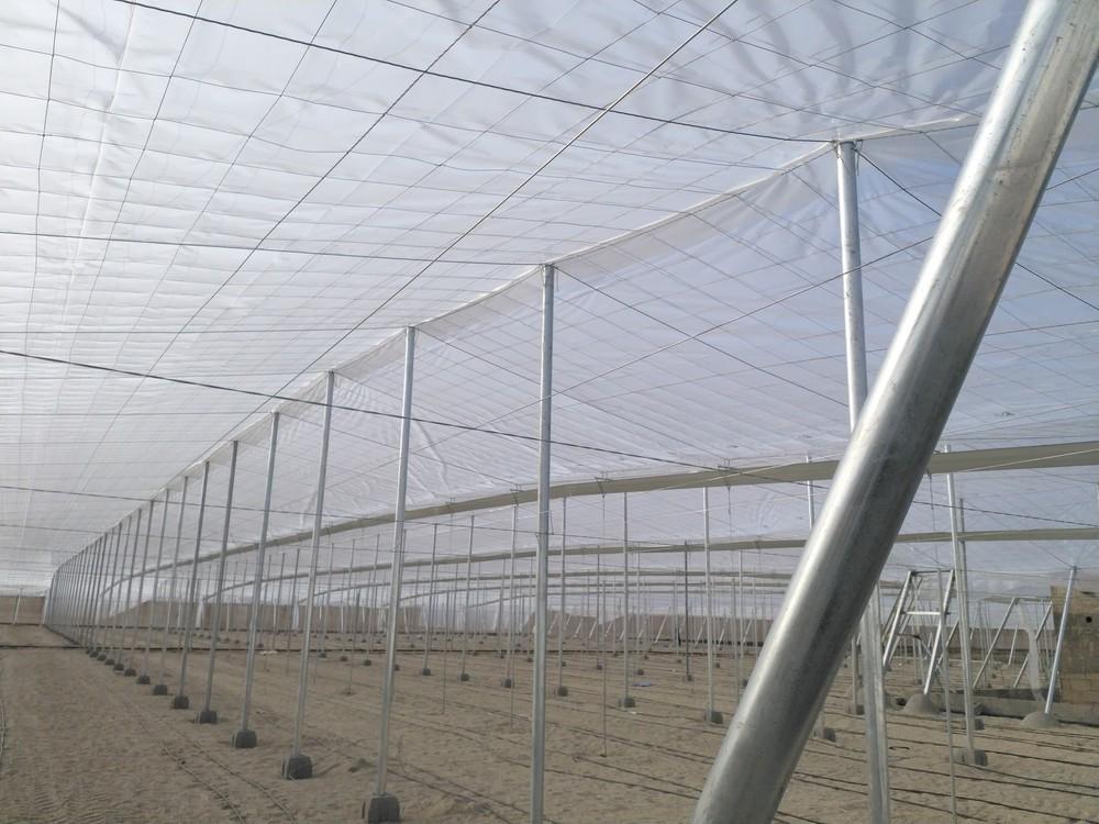 Politiv Europa presenta nuevas líneas de plástico para Almería