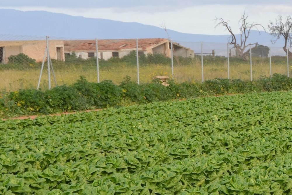 Precintadas 48 desaladoras y 25 pozos ilegales en el Campo de Cartagena