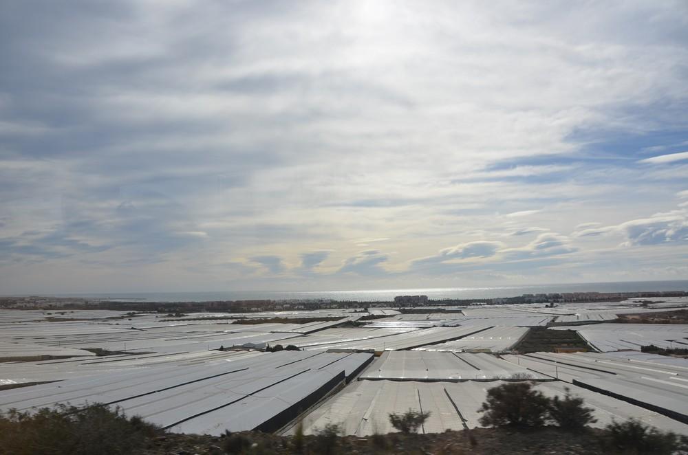 El Ministerio de Agricultura, Pesca y Alimentación publica la Guía del Seguro Agrario para el año 2019