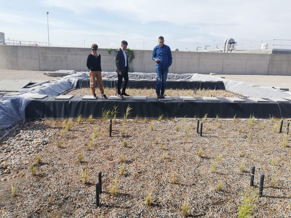 Murcia desnitrifica las aguas de la depuradora de Los Alcázares a través de un sistema piloto de restos de poda