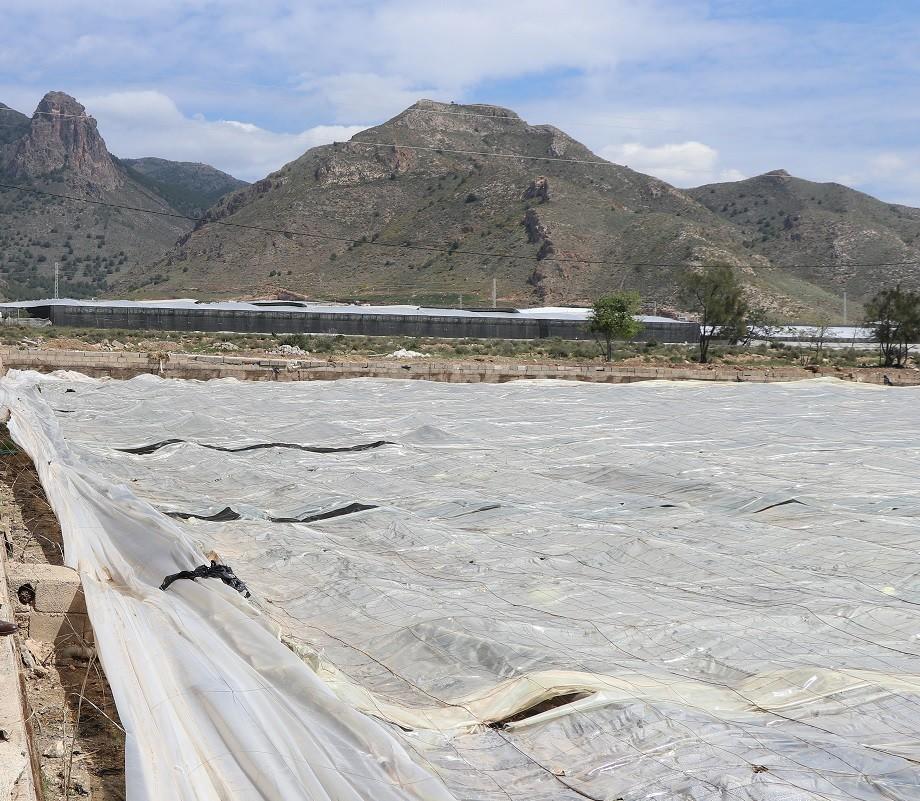 El alcalde califica de “injusta e insuficiente” la rebaja fiscal anunciada por el gobierno porque “se olvida del campo almeriense”