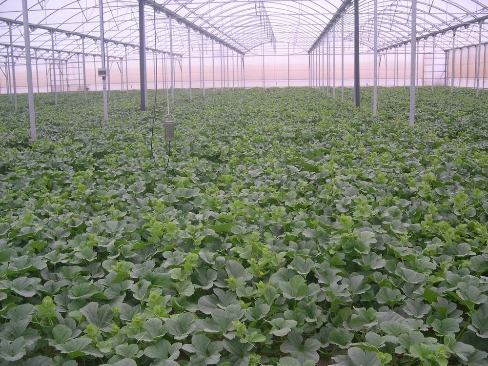 ASCENZA presentará su nueva marca en Infoagro Exhibition
