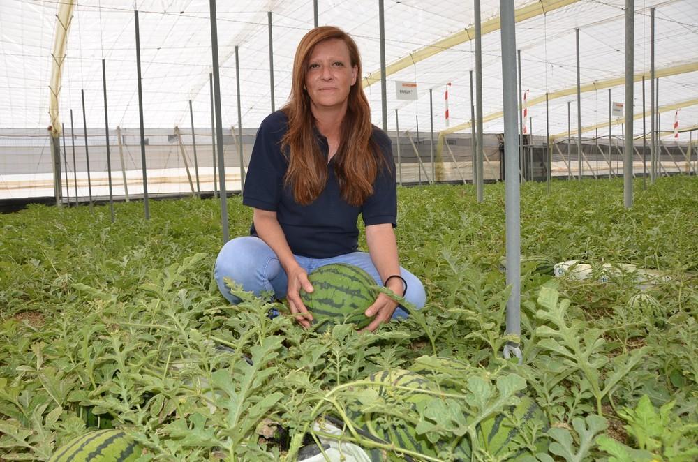 Hiromi y Kalanda se presentan como las novedades en sandía de Nunhems para responder a las demandas de mercado y agricultor