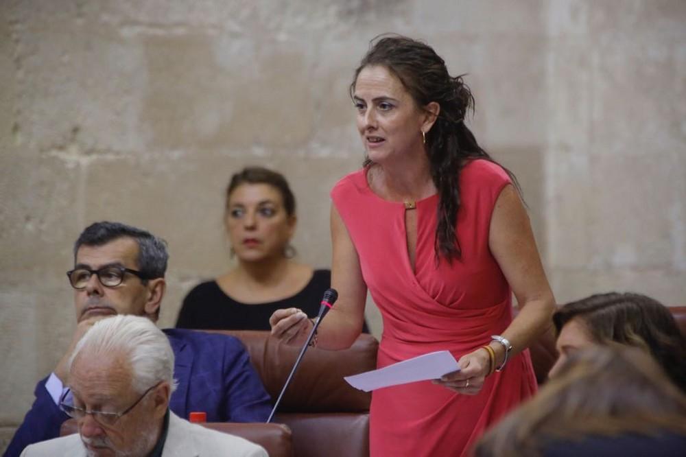 La Junta exige al Gobierno que atienda la corrección de errores para la rebaja fiscal