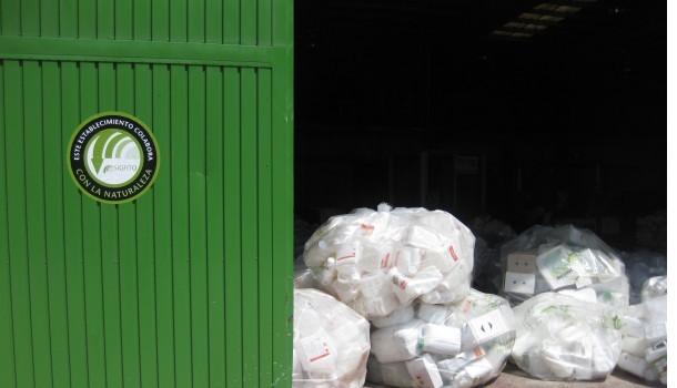 Los agricultores españoles reciclaron más de 4.000 toneladas de envases de fertilizantes y fitosanitarios en 2018