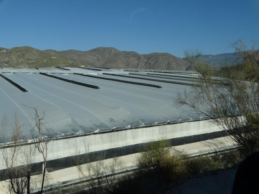 La Consejería pone en marcha un plan para reestructurar y modernizar las Oficinas Comarcarles Agrarias