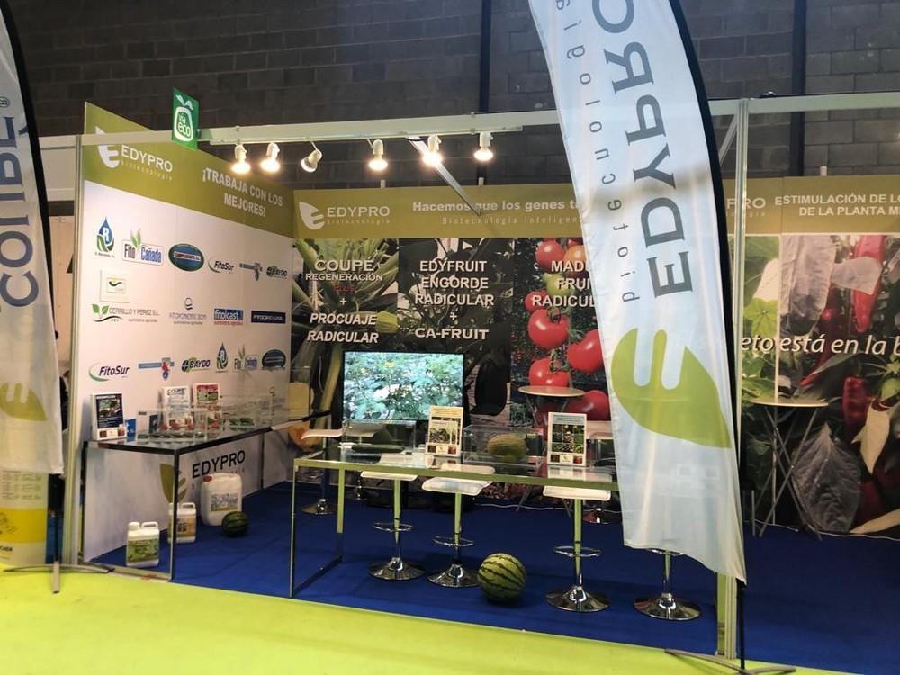 Seis de cada siete usuarios prioriza la calidad de tomates tratados con la biotecnología de EDYPRO