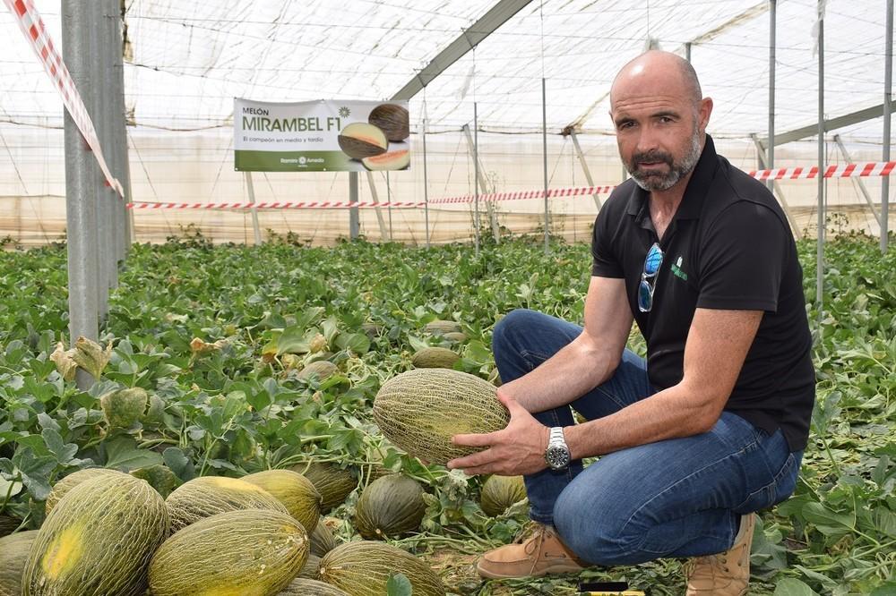 Ramiro Arnedo trae con Mirambel la solución para las siembras medias-tardías de melón