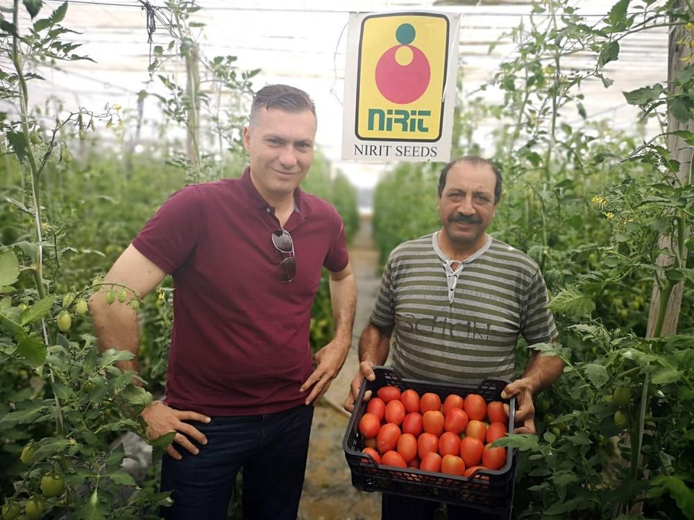 Nirit Seeds Ibérica cumple un año en España consolidándose y ofreciendo semillas de alta calidad