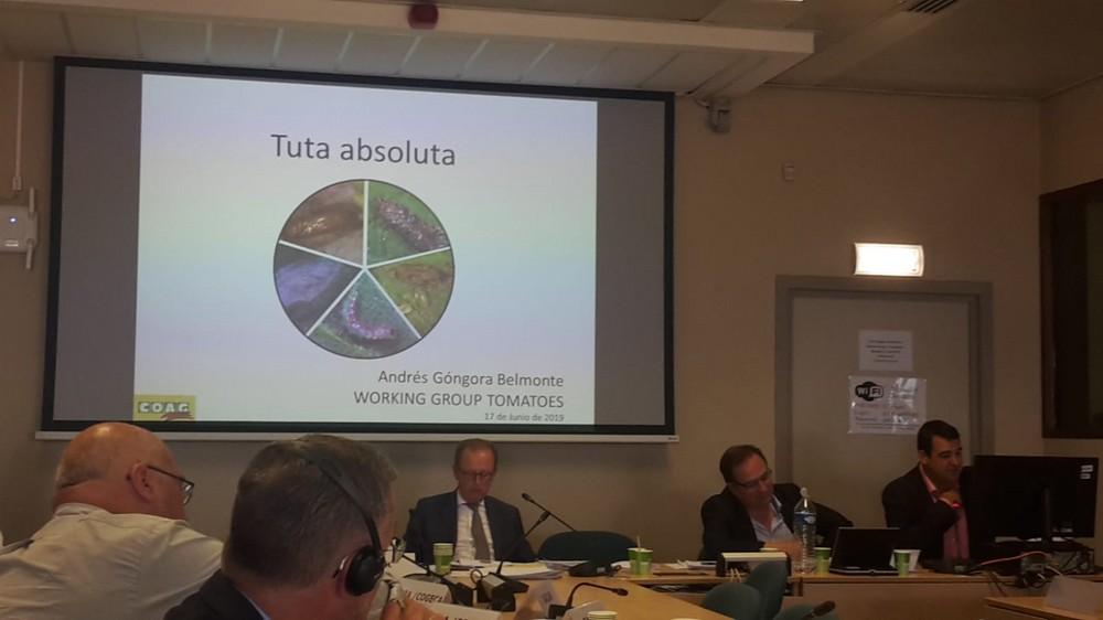 COAG alerta sobre el imparable aumento de las “importaciones de plagas” de terceros países y el deficiente control en frontera