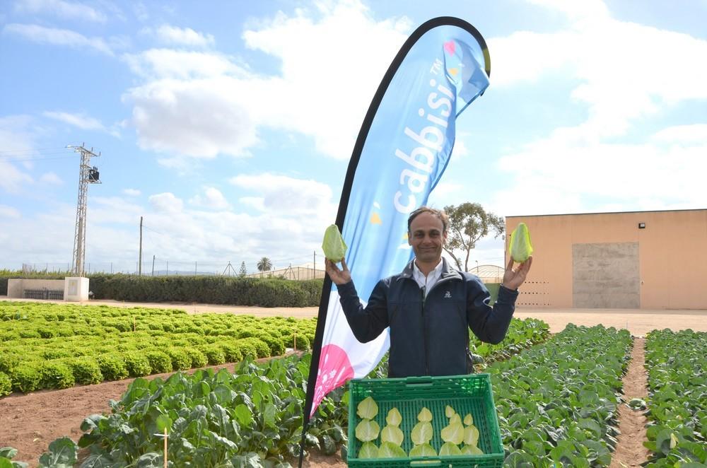 Cabissi, el nuevo concepto de col para las ensaladas modernas