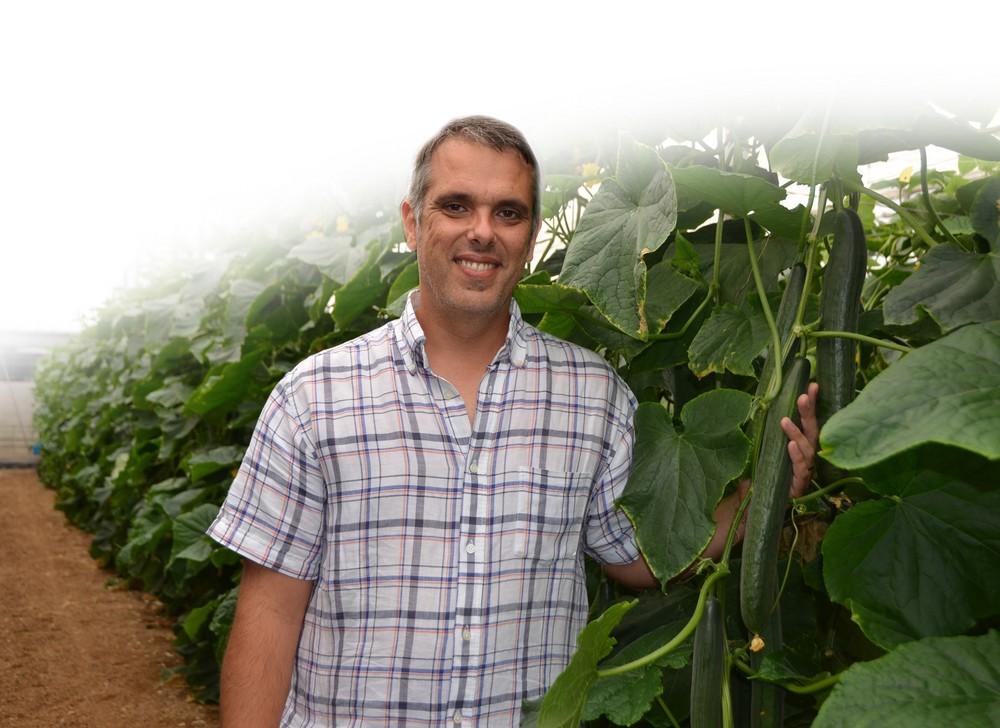 Forami RZ hace más fuerte a ‘blueleaf’  con su resistencia a fusarium