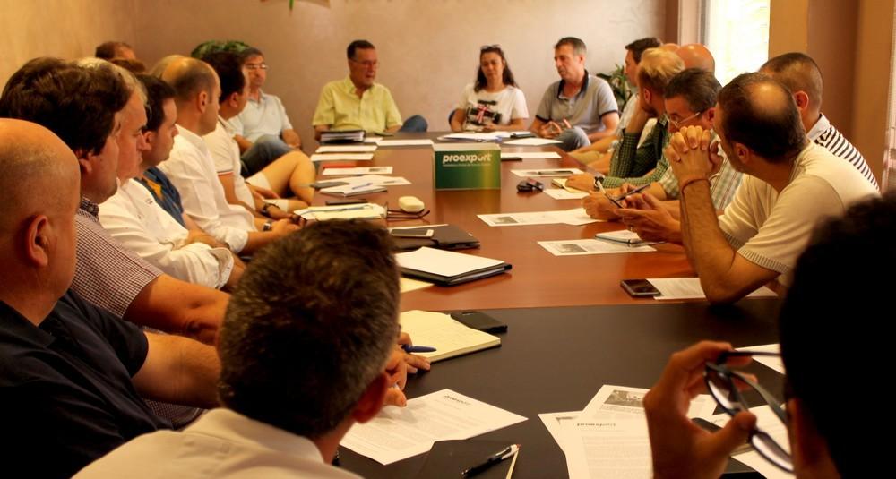 La falta de una autorización del herbicida en espinaca lastra la producción española