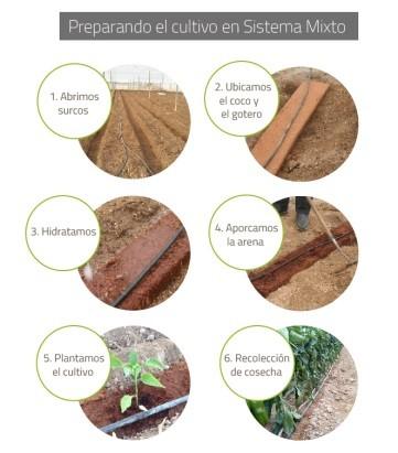 Sistema Mixto de Pelemix, el modelo de cultivo que garantiza el equilibrio en la relación aire/agua