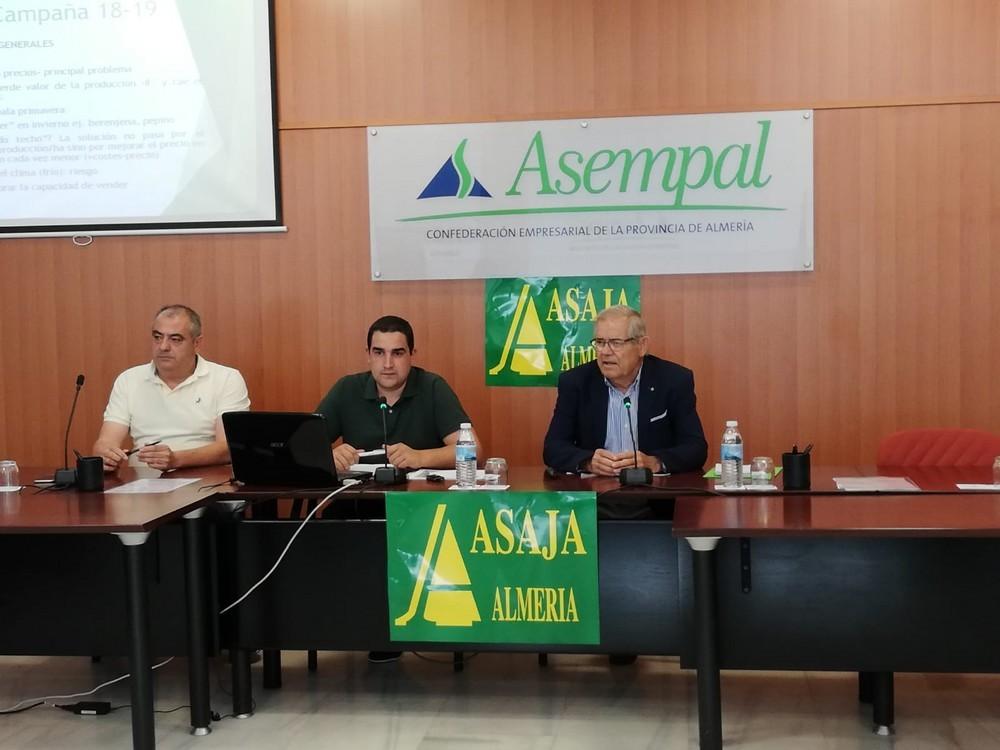 La campaña hortícola cierra con malas sensaciones debido a los bajos precios, según ASAJA