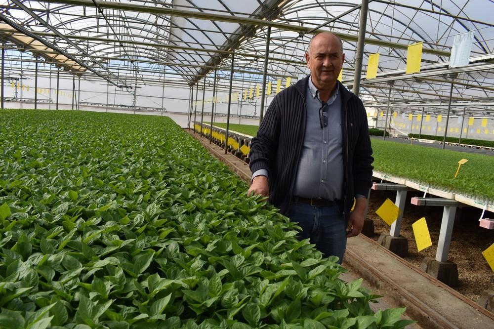 Campoejido, profesionalidad y tecnología desde el semillero