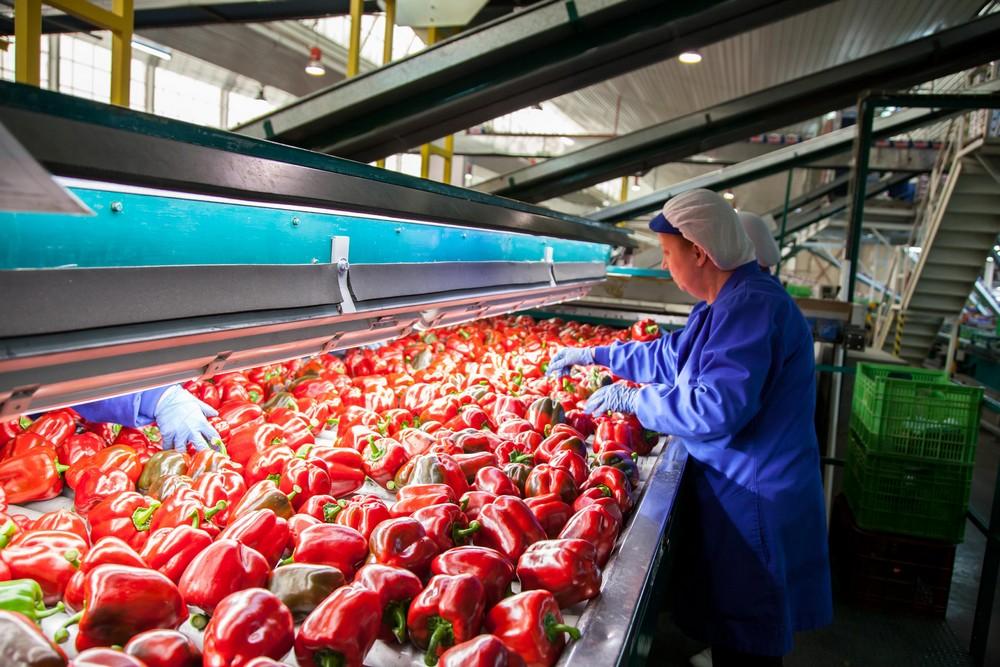 Récord de exportaciones andaluzas de frutas y hortalizas de enero a mayo de 2019