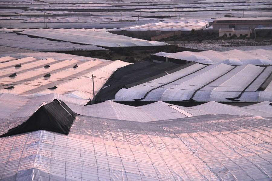 La ONU recomienda el consumo de hortalizas para frenar el cambio climático