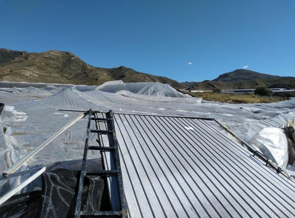 El Colegio Oficial de Ingenieros Técnicos Agrícolas de Almería hace recomendaciones ante el temporal previsto