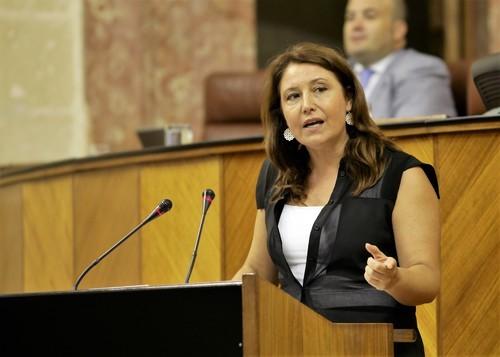 Crespo valora el acuerdo de los grupos políticos para cooperar en la conformación de una posición andaluza ante la nueva PAC