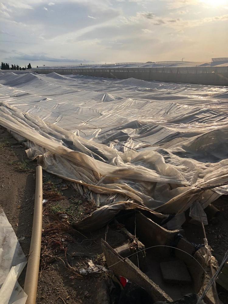 El fuerte temporal de lluvias en Almería causa graves daños en la agricultura