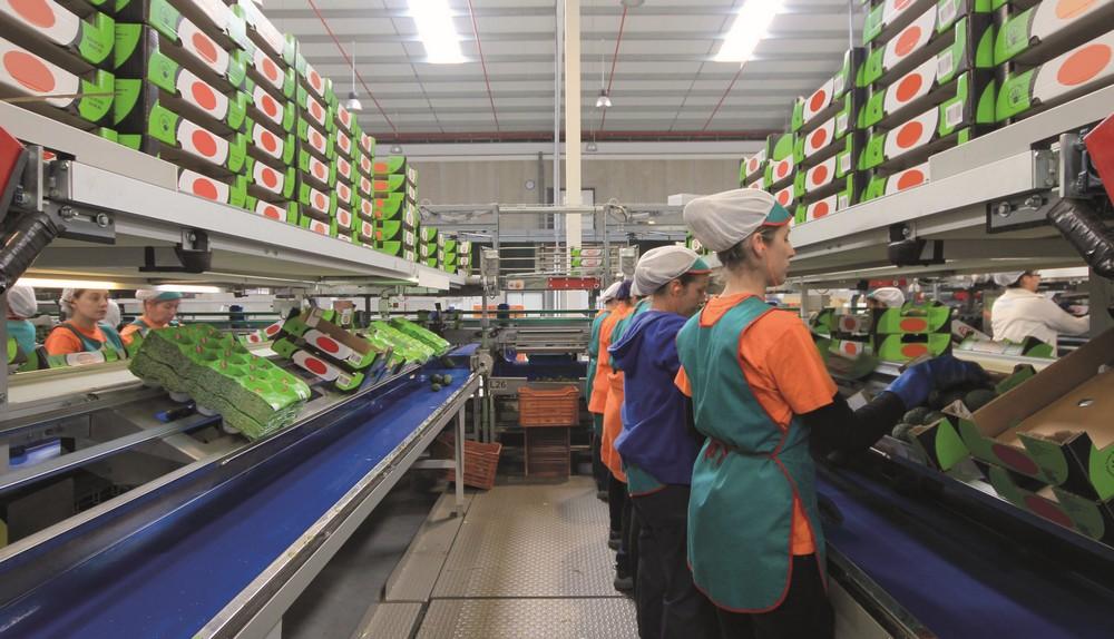 Ingro desarrolla la electrónica de básculas inteligentes que controlan en tiempo real  el coste de cada puesto de confección