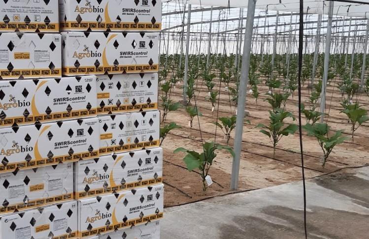 Cultivo limpio y protegido gracias a los protocolos y el asesoramiento de Agrobío